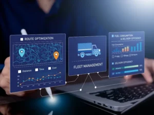 Fleet Optimization Strategies